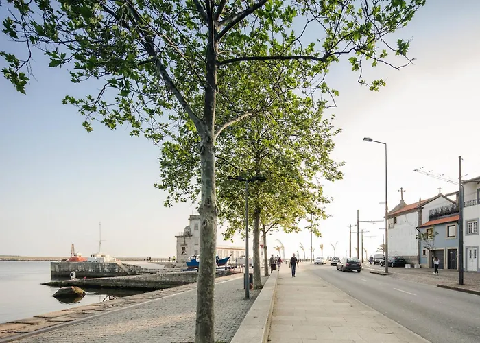 Golden Holidays Foz Do Douro 别墅 波尔图